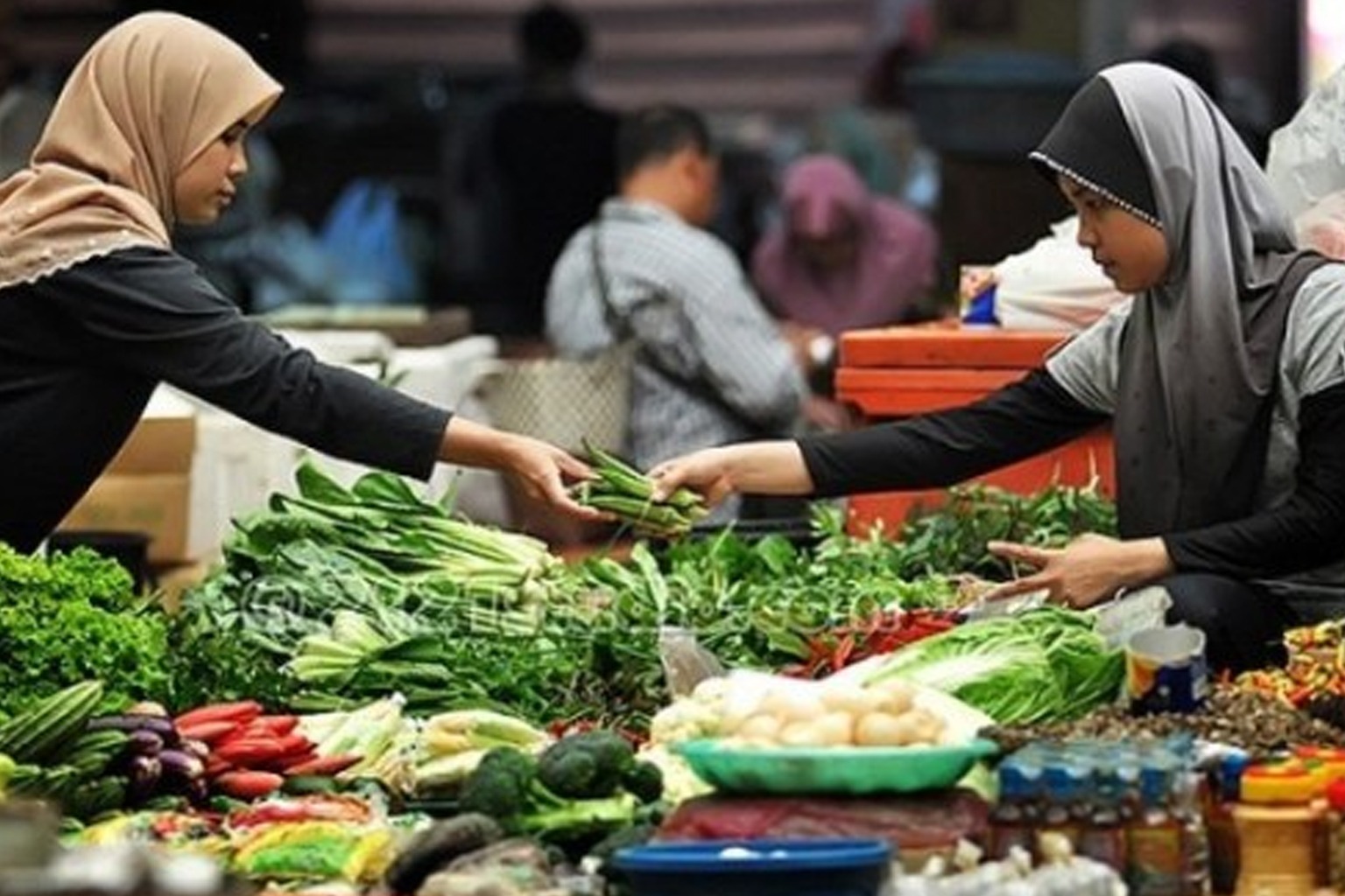 Pengusaha Khawatir Kenaikan PPN Berdampak Negatif ke Daya Beli Masyarakat Pengusaha Khawatir Kenaikan PPN Berdampak Negatif ke Daya Beli Masyarakat