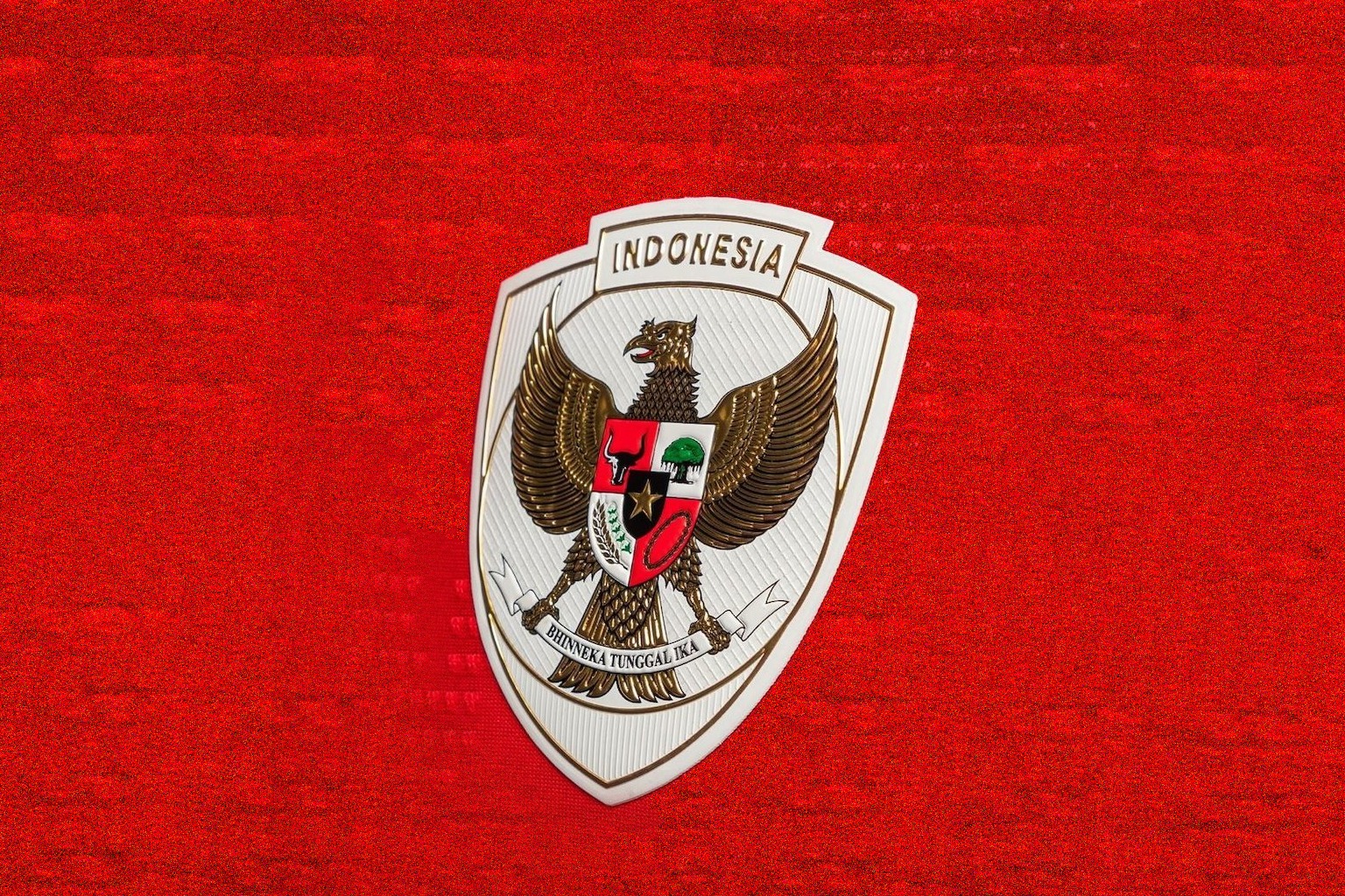 Timnas Indonesia U-20 Hadapi Thailand Setelah Tekuk Argentina Timnas Indonesia U-20 Hadapi Thailand Setelah Tekuk Argentina